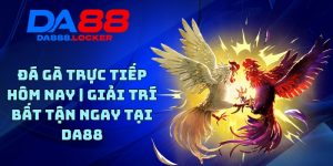 Đá Gà Trực Tiếp Hôm Nay | Giải Trí Bất Tận Ngay Tại DA88